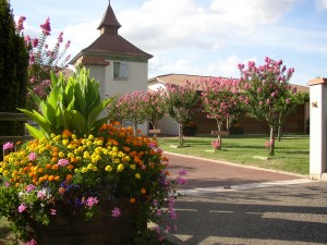 Conservatoire de la Ruralités et des Metiers d'autrefoi