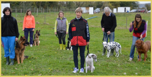 club canin