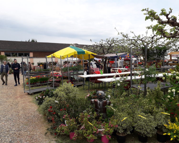 Donzac, ça bouge ! Mairie de Donzac