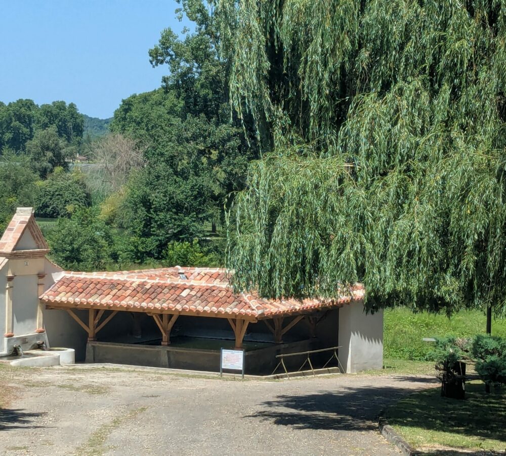 PXL_20250616_125924144